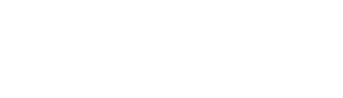 logo sroka